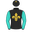 Girl Scout silks